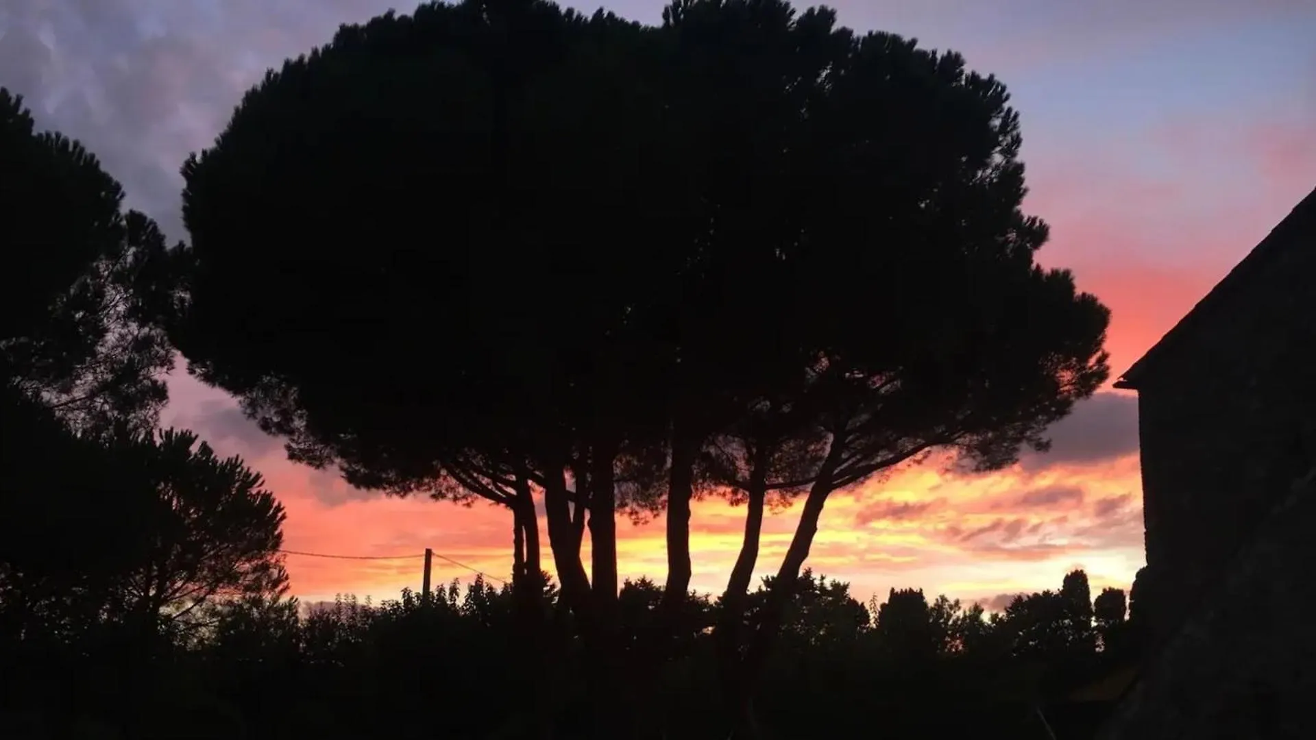 Holiday home La Casa Rossa 2 Villa Bibbona